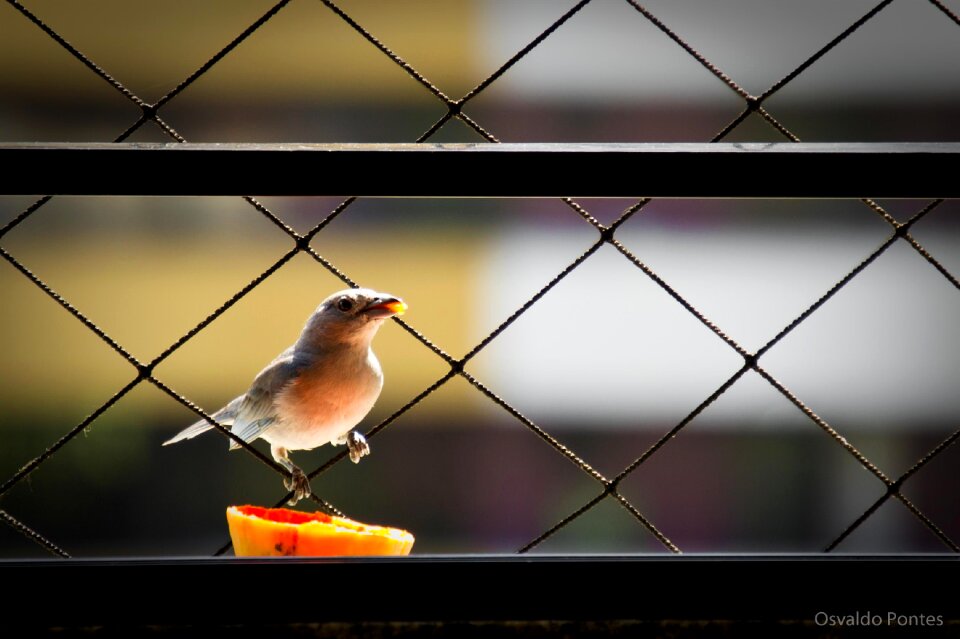 Free stock photo from Tookapic