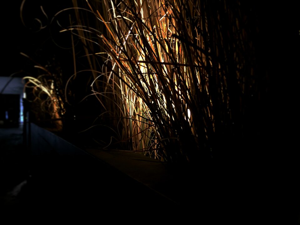 Free stock photo of dark, light, night