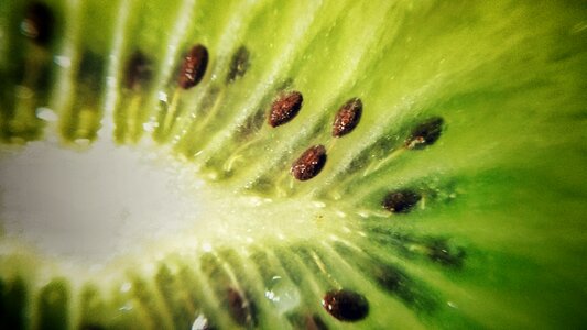 Free stock photo of fruit, kiwi, theme cooking photo