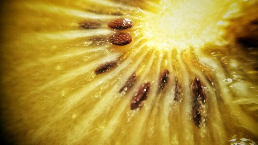 Free stock photo of fruit, kiwi, theme cooking photo