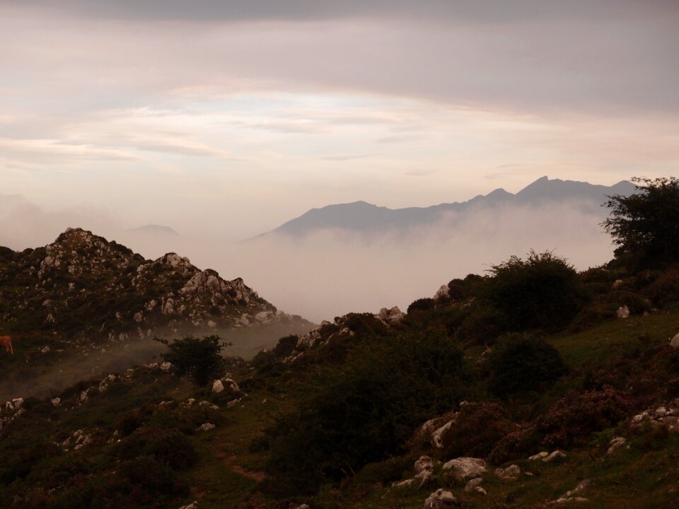 Free stock photo of fog, mountain