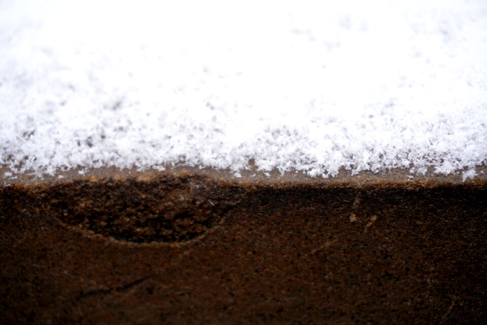 Free stock photo of brown, outdoor, snow