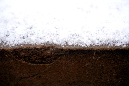 Free stock photo of brown, outdoor, snow