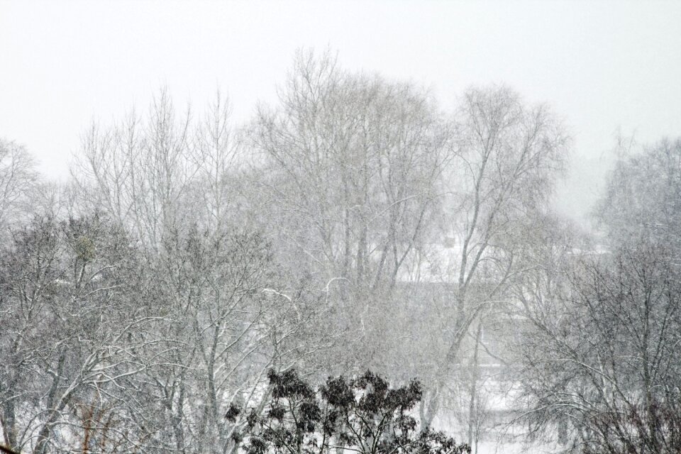 Free stock photo of snow, winter photo