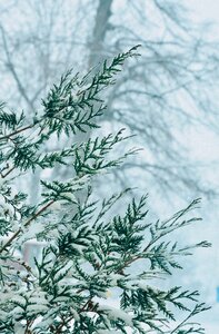 Free stock photo from Tookapic
