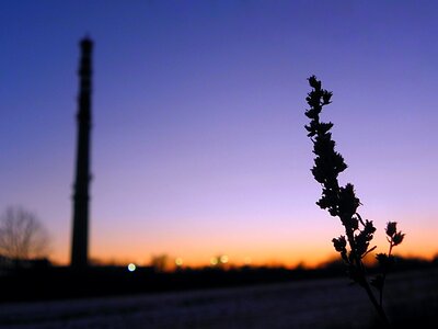 Free stock photo from Tookapic