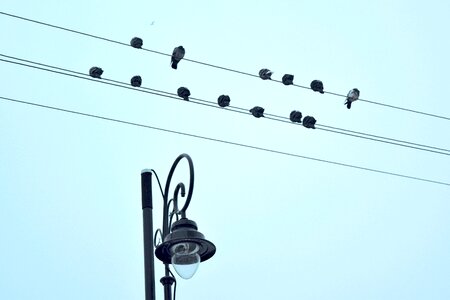 Free stock photo of sky, warsaw, winter photo