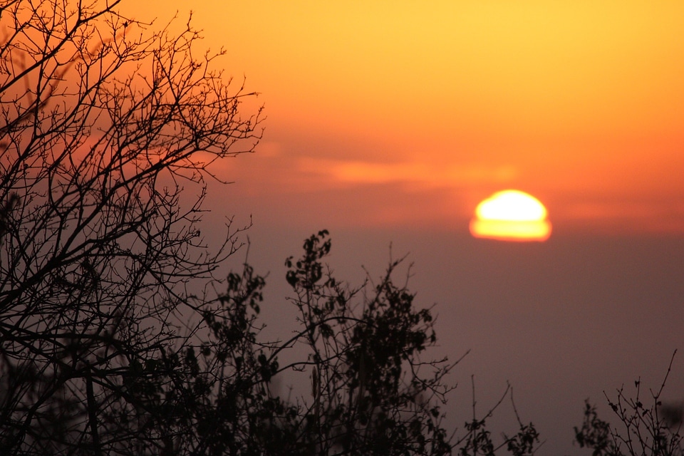 Tsavo landscape morning photo