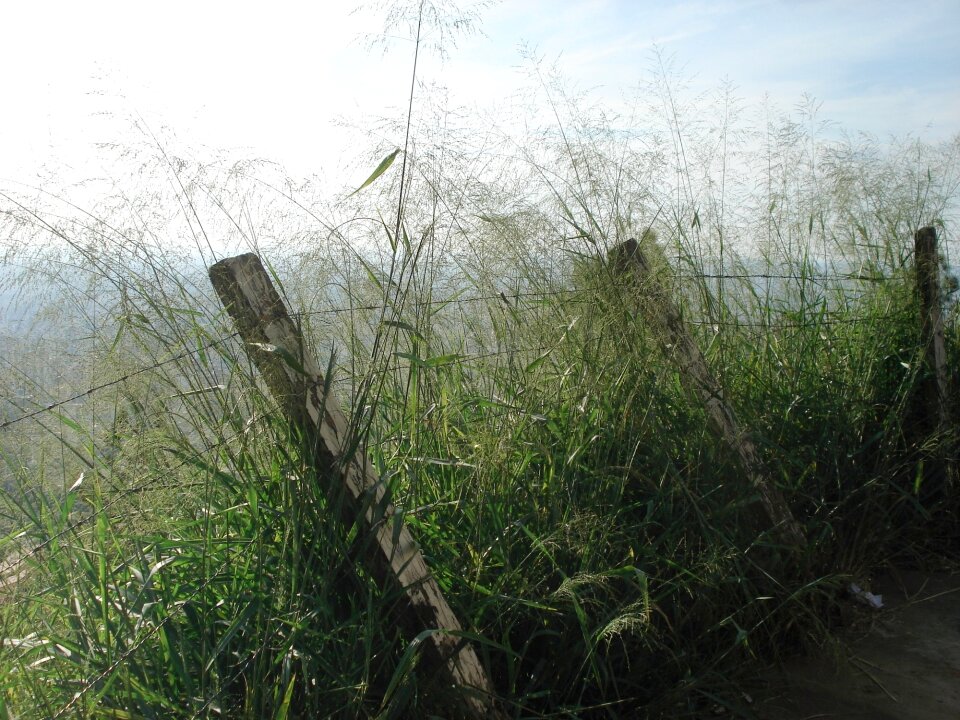 Free stock photo of force, nature