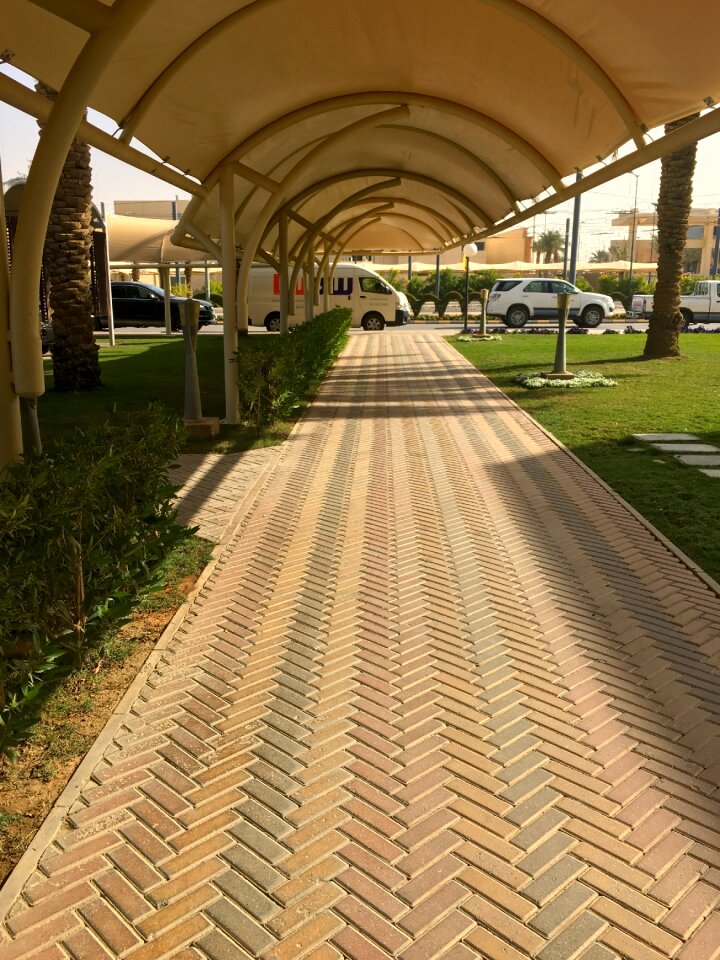 Free stock photo of green, passage, sunny