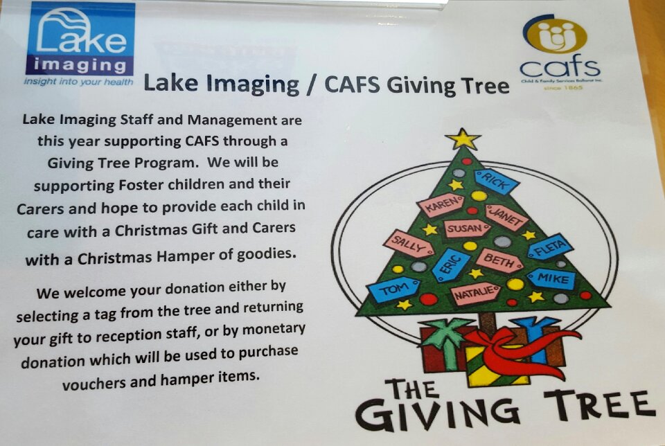 Free stock photo of giving, imaging, tree