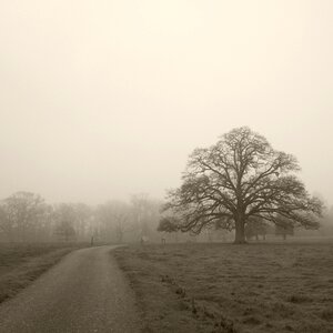 Free stock photo from Tookapic