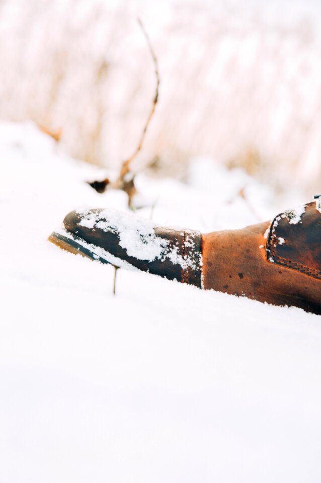 Free stock photo of snow, winter