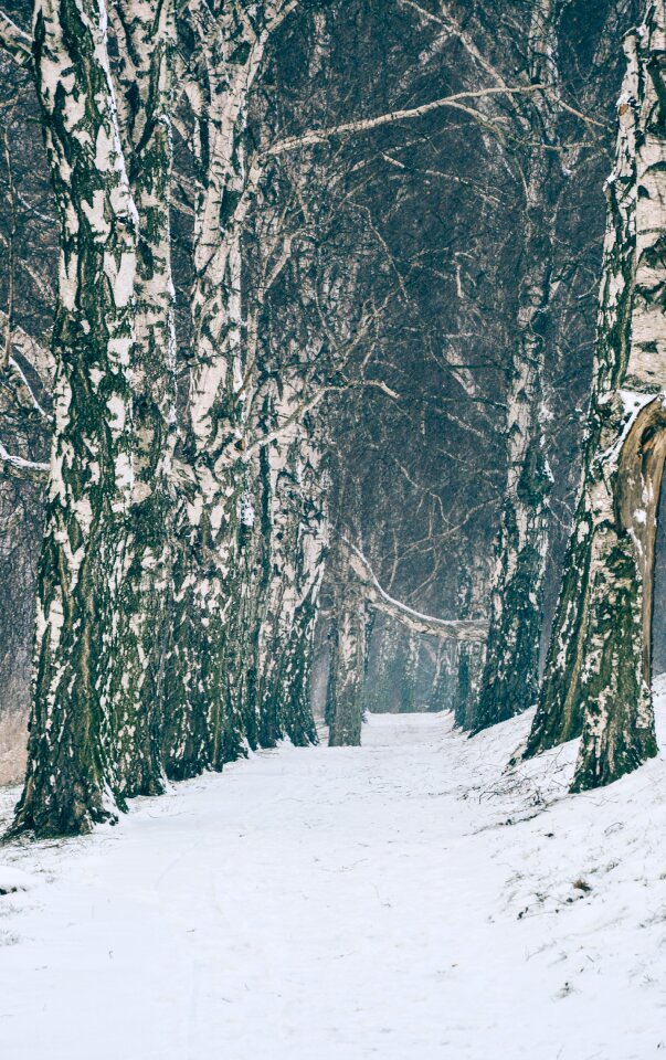 Free stock photo from Tookapic