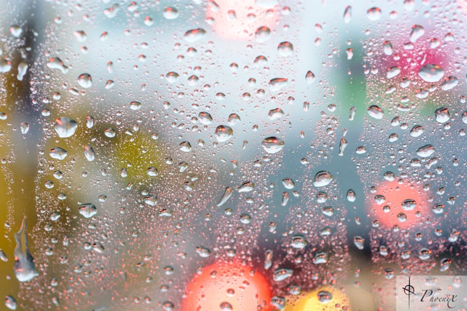 Free stock photo from Tookapic