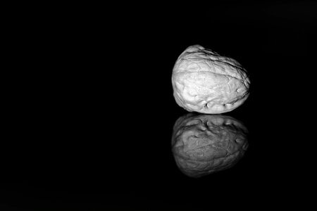 Free stock photo of black and-white, glass reflection, walnut