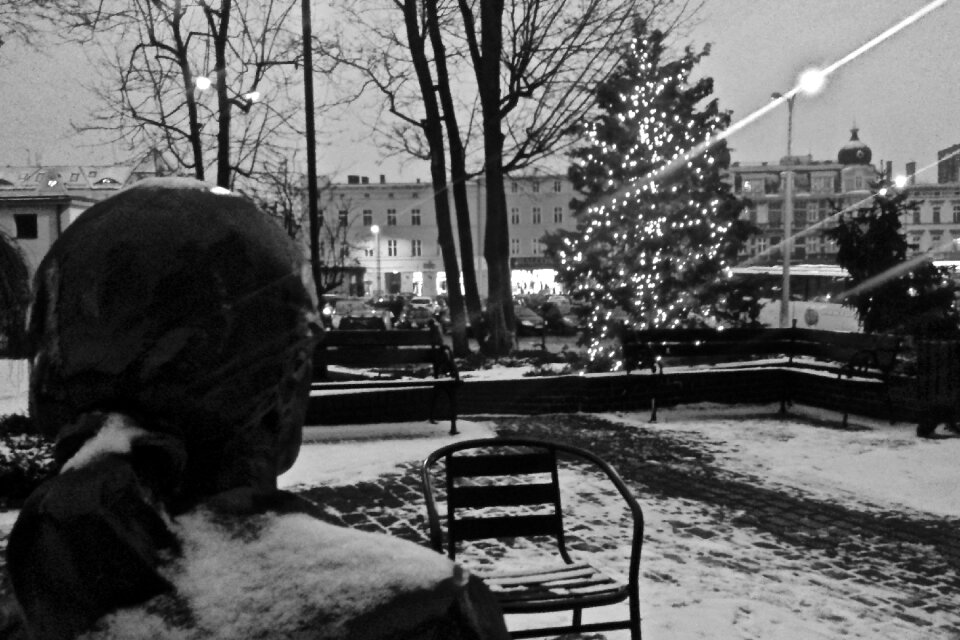 Free stock photo of christmas tree, monument, opole