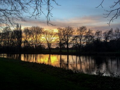 Free stock photo of light, reflection, trees photo