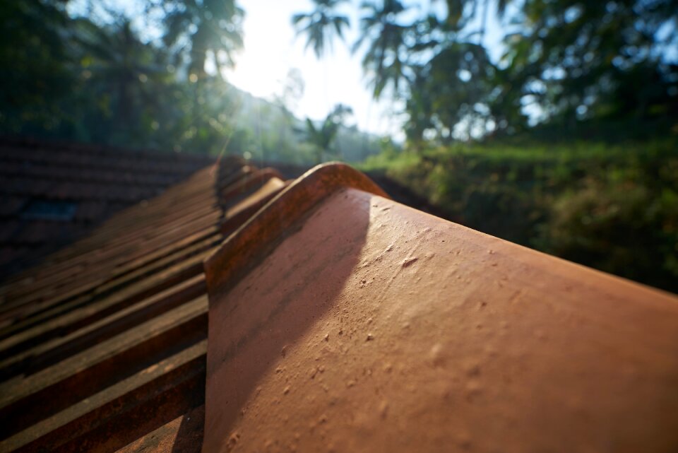 Free stock photo from Tookapic