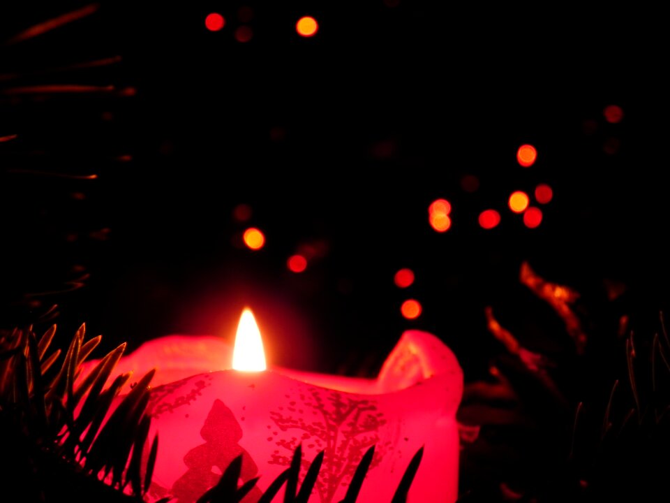 Free stock photo of candle, christmas, lights