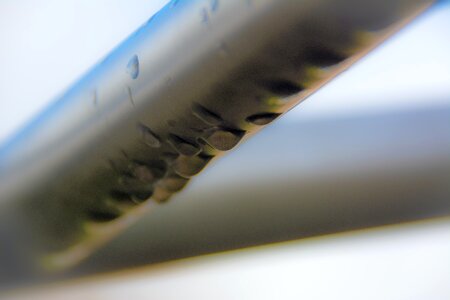 Free stock photo from Tookapic
