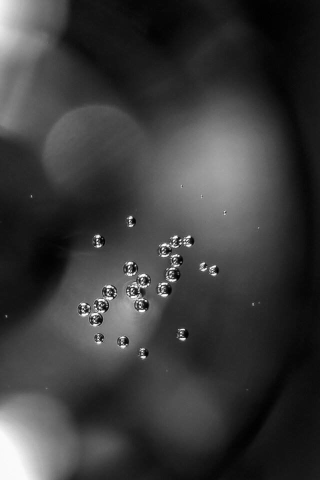 Free stock photo of bals, champagne, drops