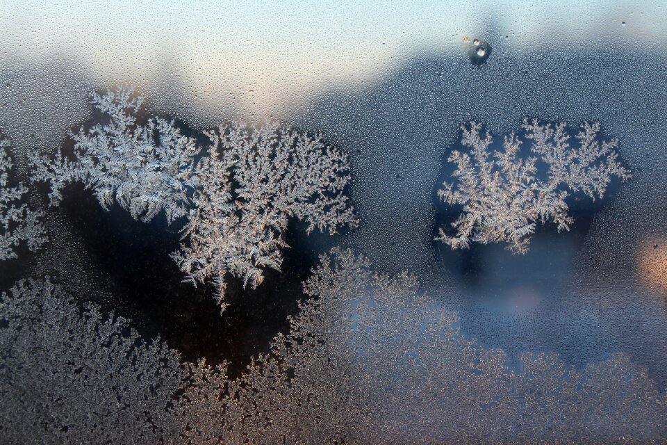 Free stock photo of frost, snow, theme new-year