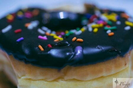 Free stock photo from Tookapic