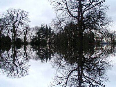 Free stock photo of reflection