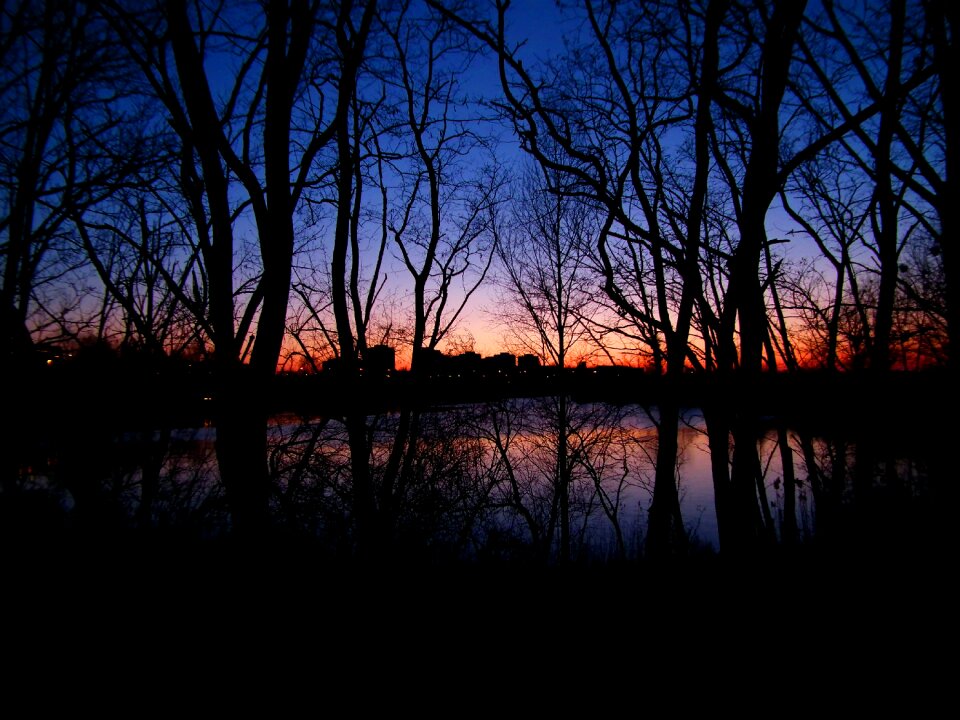 Free stock photo from Tookapic