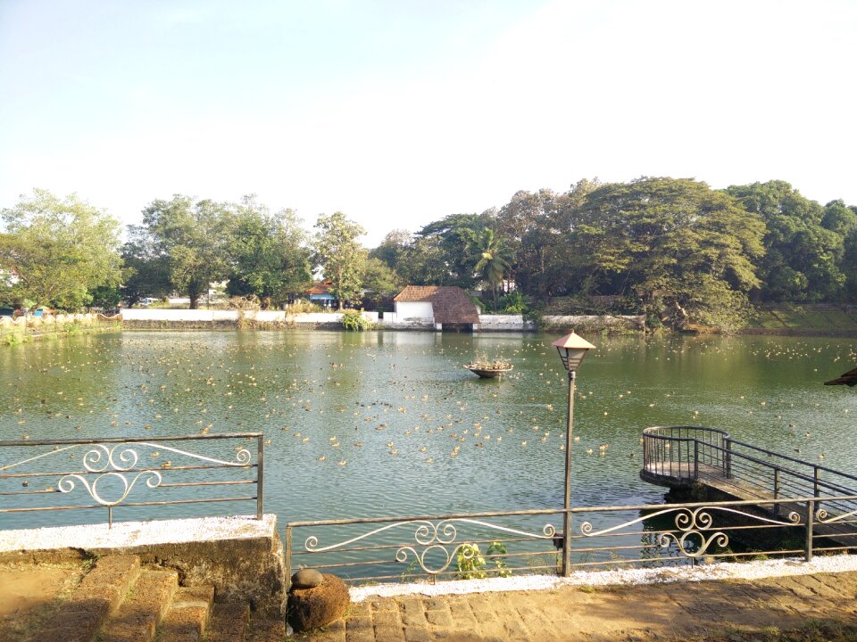 Free stock photo of pond, sakthan thamburan, thrissur