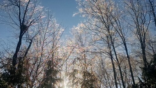 Free stock photo of sub, trees photo