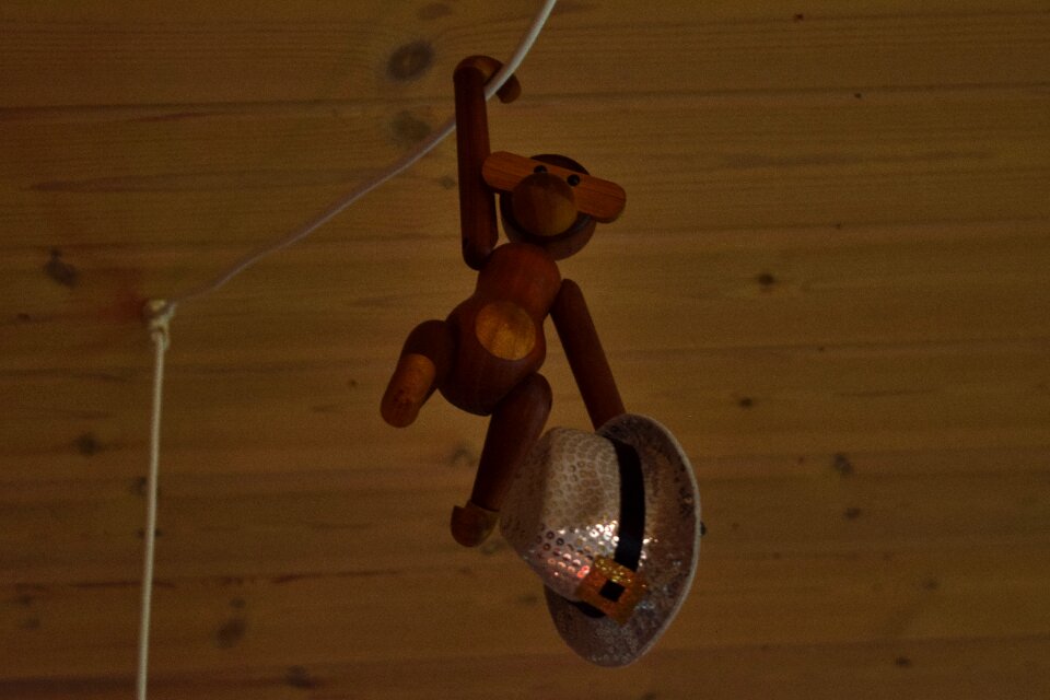 Free stock photo of monkey, party hat, theme new-year