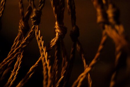 Free stock photo from Tookapic