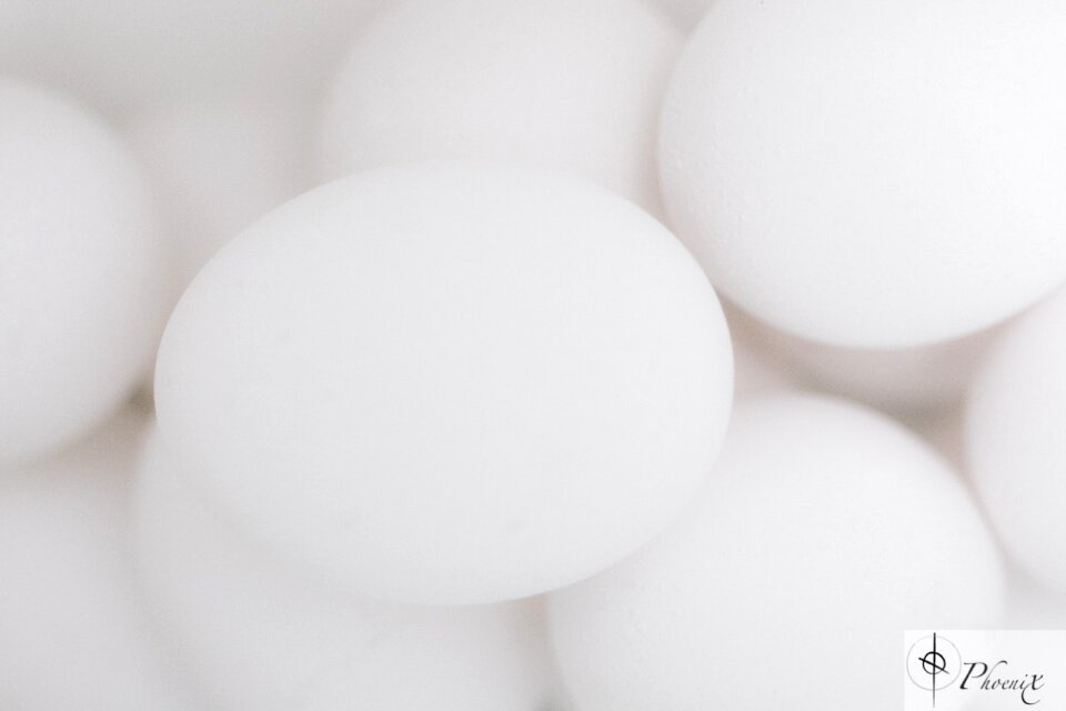 Free stock photo from Tookapic