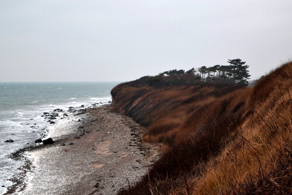 Free stock photo of cliff, denmark, nature