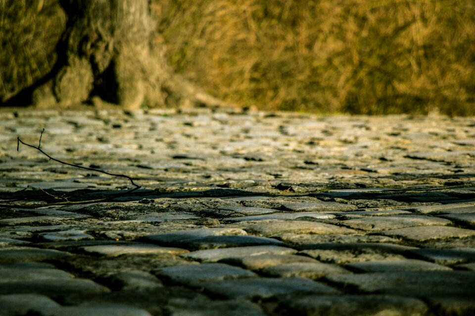 Free stock photo of park, pavement