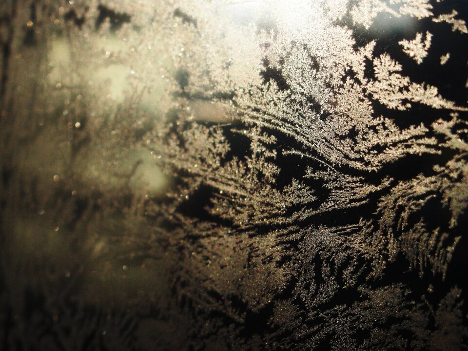 Free stock photo of frost, painting, winter
