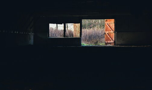 Free stock photo from Tookapic