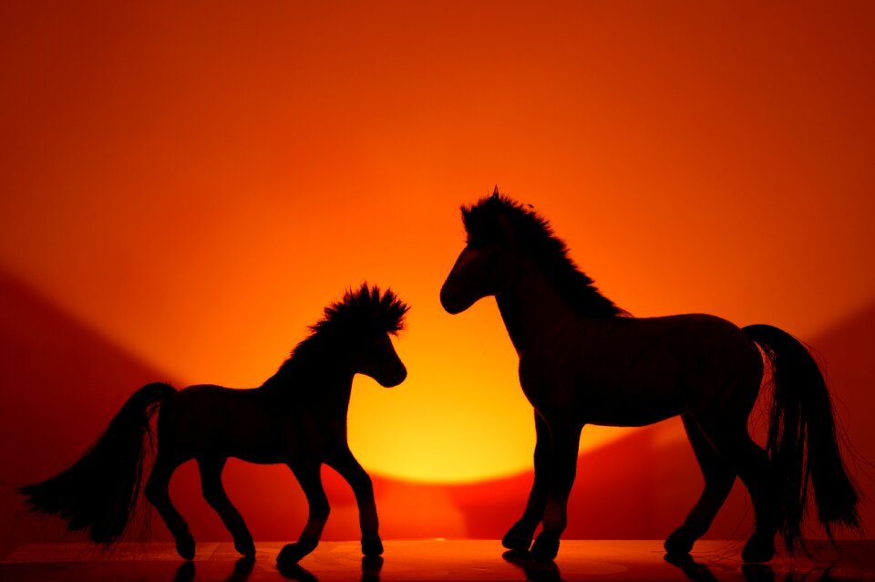 Free stock photo of horse, toy