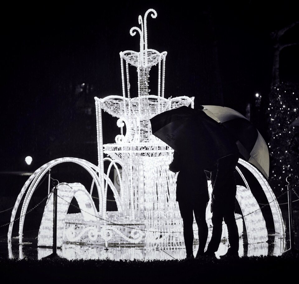 Free stock photo of lights, night, rain
