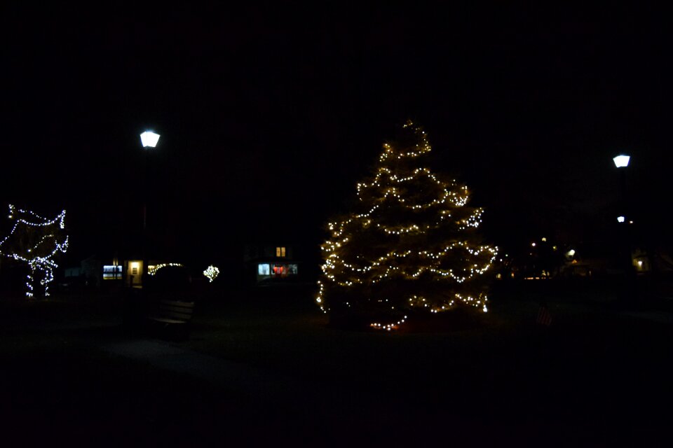 Free stock photo of lights, night, park