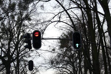 Free stock photo of ligt, road, trees