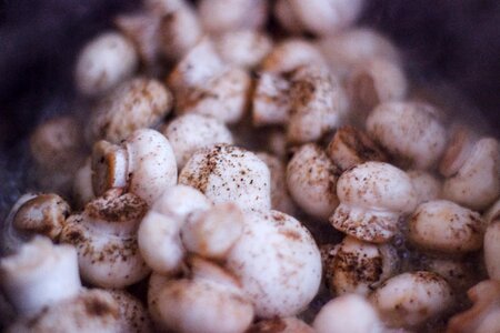 Free stock photo of food, mushrooms photo