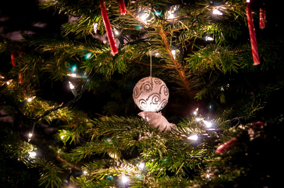 Free stock photo of night, theme christmas