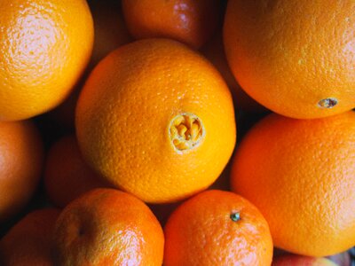 Free stock photo of citrus, food, fruit