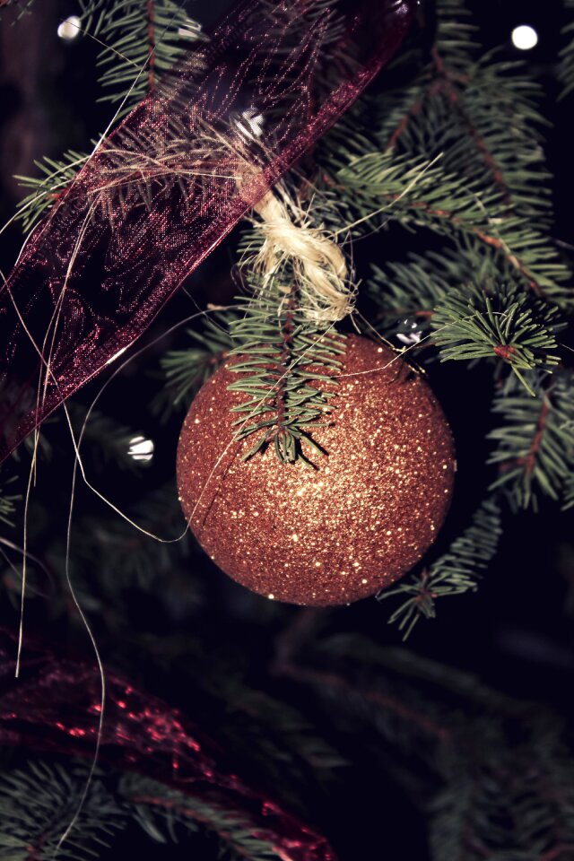 Free stock photo of bauble, christmas, gold