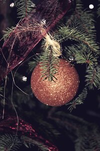 Free stock photo of bauble, christmas, gold photo