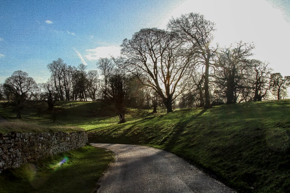 Free stock photo of dry stone-wall, grass, trees