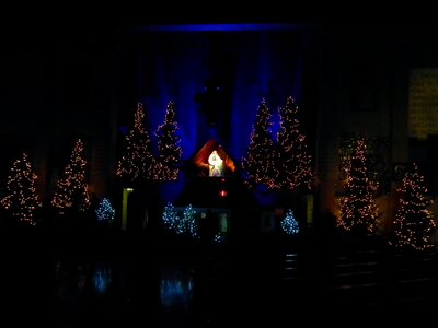 Free stock photo of night, theme christmas